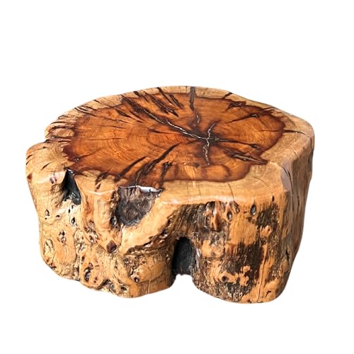 THY COLLECTIBLES Natural Tree Trunk Stump Stool with Live Edge Solid Wood Plant Stand, Stool, Garden Bench, Side Table, End Table (D10 in x H4 in)