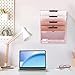 EASEPRES 6 Tier Mesh Hanging Wall File Organizer, Desk Vertical Mail Paper Document Folder Holder Rack with Bottom Tray and Nametag Label for Office Home School, Pink