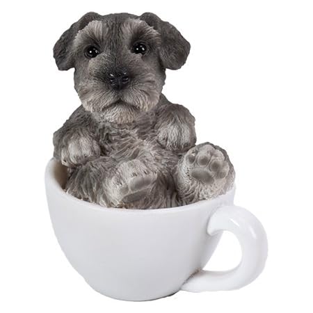 mini teacup schnauzer