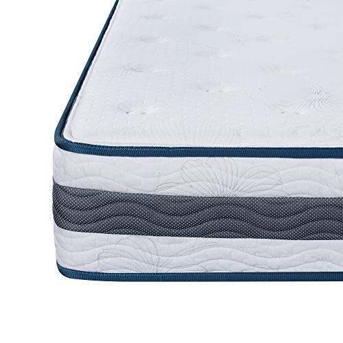 Sleeplace 11 Inch Tight Top Spring Mattress Full -Dark Green Piping Sp11Sm04F #TOP4