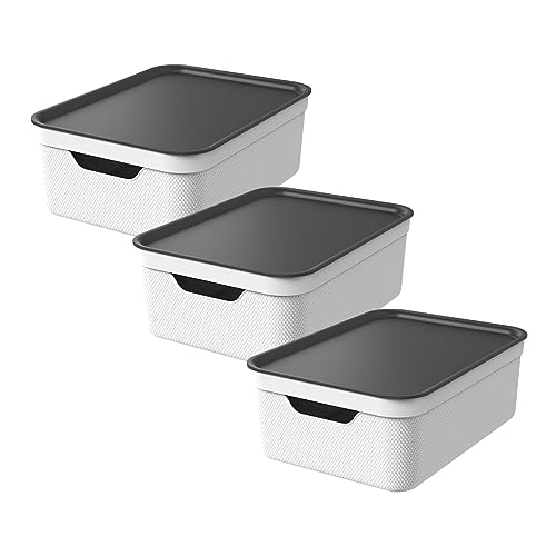 Jive Dekobox 3er-Set Aufbewahrungsbox 10l mit Deckel, Kunststoff (PP recycelt), weiss, 10l (37.5 x 27.8 x 13.5 cm)