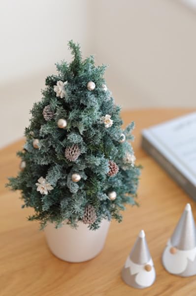 Amazon｜プリザーブドフラワーFiNE プリザーブドフラワー クリスマス