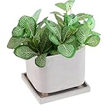 Ajoute une touche gracieuse: le design et élégant de Flower Pot se mélange parfaitement à n'importe quel style écoratif, qu'il soit minimaliste ou rustique, pour un look raffiné et poli