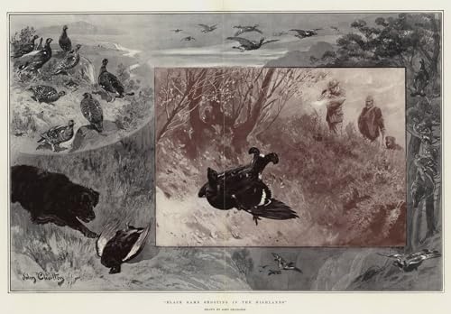 Tableau tir noir dans les Highlands pour habiller un grand mur vide de salon 60x90cm