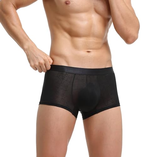 Evankin Men's Boxer Brief Underwear See Through Mesh Sexy and Fun Underpants Shorts Home Comfortable Lingerie2