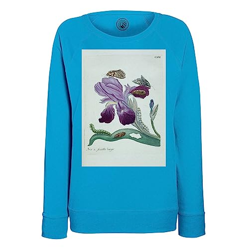 Sweatshirt femme iris papillons illustration botanique ancienne fleurs