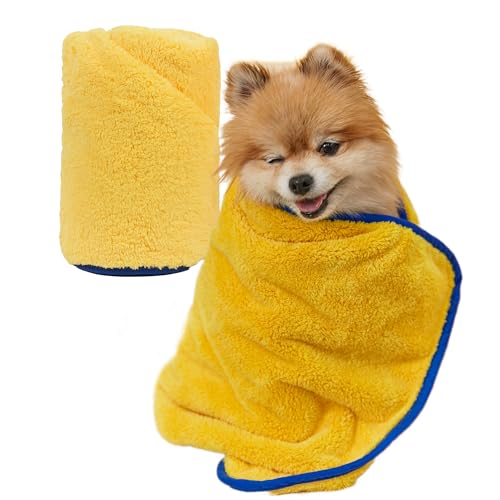 PETHROOM] Ultra Absorbent Pet Towel | Quick-Drying, Soft Microfiber Dog & Cat Bath Towel | Lightweight, Durable, Fast Water-Soaking | Ideal for All Breeds (Medium) 15.7" x 31.5"