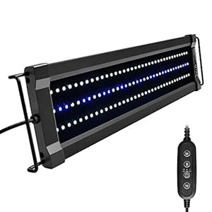 NICREW ClassicLED G2 LED Acquario, Luce Acquario Con 2 Canali di Controllo, Lampada Acquario Con Luci Bianche e Blu, 45-60 cm, 15 W 1160 Lumen
