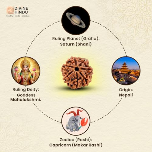 Image of Divine Hindu Original 7 Mukhi (Seven Face) Indonesia Rudraksha | Saat Mukhi Rudraksh Bead for Meditation, Protection & Spiritual Growth | Natural Rudraksha for Men & Women | Prayer Bead for Success