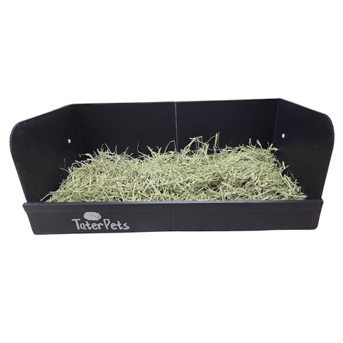 Hayzee Solid Guinea Pig Litter Box with Chew Protector