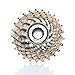 Campagnolo 2014 Record 10-Speed Steel/Titanium Road Bicycle Cassette