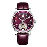 Minskolei Shield Dulunwe Men's Automatic Mechanical Wristwatch with Tourbillon Skeleton Dial，Silver - Purple
