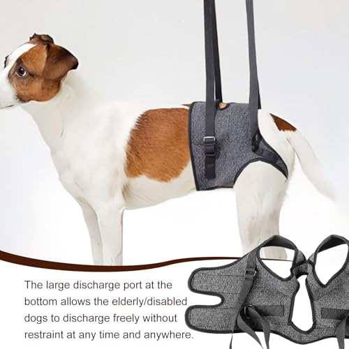 Hundehebegeschirr, Weiche Hunde Tragehilfe, Hundestützgeschirr für die Hinterbeine, Hundetragegurt, Verstellbare Gehhilfe, Sicherheitsunterstützung für behinderte, oder ältere Hunde,26-40kg (XL)