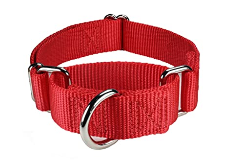 Mikivery marraht EIN hundehalsband mit verschlafenem farbenprächtigen metallhalsband für Haustiere eignet Sich für kleine mittelgroße und groß