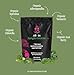 All In Nutritionals Jungle Greens-30 Servings Per Pouch! A Truly one of a Kind, Pure, Potent and Clean Green superfood Formula- 1 Scoop Serving.