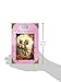 Lily in Full Bloom (Disney Fairies) (A Stepping Stone Book(TM))