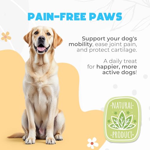 Glucosamine HCL & Hip and Joint Chews for Dogs - 150 pcs - Advanced Hip and Joint Support for Senior Dogs -With MSM & Green Lipped Mussel - Chicken - Image 5