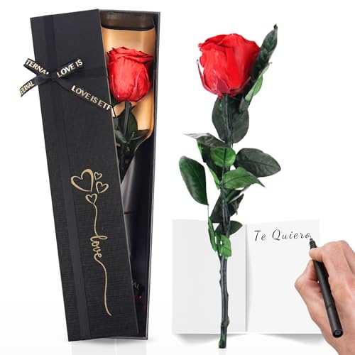 Trends by Twins® Rosa Eterna – Rosa Preservada Natural – Flores secas decoración, Flor Eterna Hecha a Mano – Regalos Originales para Mujer, Regalo Cumpleaños, Amiga o Madre Trends by Twins® Rosa Eterna – Rosa Preservada Natural – Flores secas decoración, Flor Eterna Hecha a Mano – Regalos Originales para Mujer, Regalo Cumpleaños, Amiga o Madre