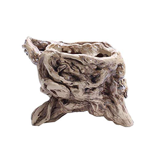 Tubayia Baumwurzel Pflanze Töpfe Blumentöpfe Sukkulenten Pflanztopf...