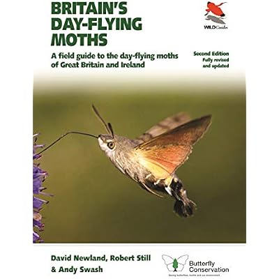 Britain's Day-flying Moths