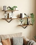 Forjarn Floating Shelves, Set of 2 Wall Shelf, Wall Mounted Decorative Shelves, 2-Tier Modern Geometric Hanging Storage Shelf for Living Room, Bedroom, Kitchen, Office, Study (Rustic Brown + Black)