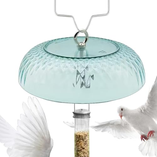 Cubierta de cúpula transparente para comederos de pájaros de jardín 2