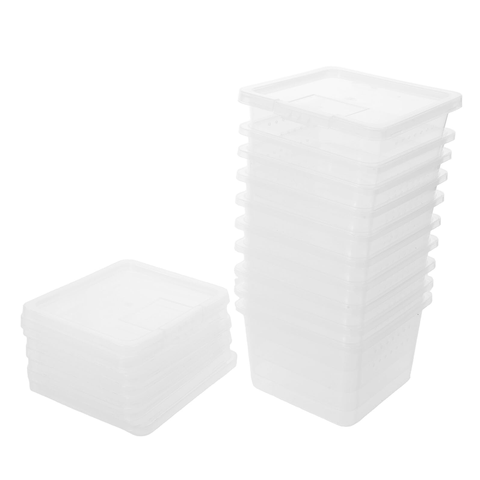 Terrarium en plastique transparent pour reptiles (Lot de 10) - Petit enclos d'élevage aéré