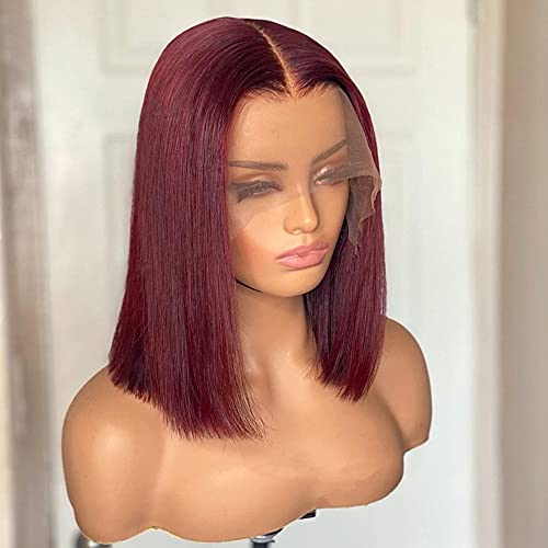 QUINLUX HD Transparent Lace Short Bob Human Hair Wigs Pre Plucked 13X6 Lace Front Wig 150% Density Brazilian Remy Hair Bob Cut Human Hair wig for Woman #99j Color (10 Inch, #99j（13X6 lace front wig）)
