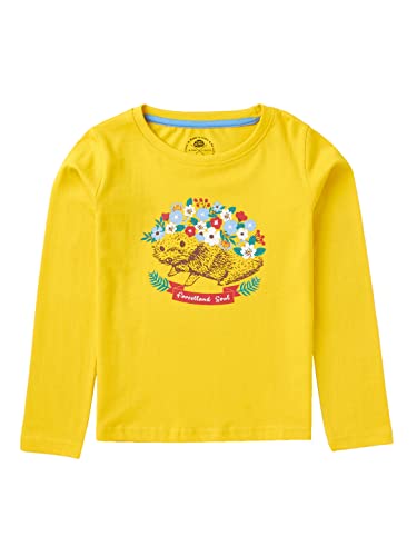 Image of Girls T-Shirts Pack of 3 by Cub McPaws | Kids Cotton T-Shirts for Girls | Long Sleeves Tshirts | for 4-12 Years Girls