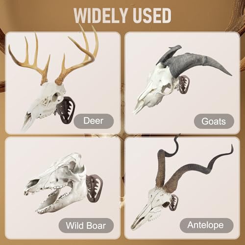 MSSOHKAN European Mount Skull Hanger – Adjustable Deer Skull Mount Wall Bracket, Antler Style Trophy Display for Antelope, Hog, Bear – Heavy-Duty Steel by MSSOHKAN - Image 6