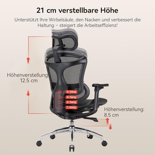 Sihoo Doro C300 Ergonomischer Bürostuhl mit 3D-Armlehnen und Lendenstütze