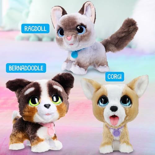 Just Play 28073 Furreal Newborns Kitty Interactive Pet, Small Plush Stuffed Animal Cat With Sounds And Movement, Kids Toys thumb #5