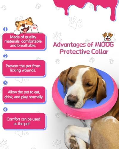 Image of MIDOG Inflatable Dog Cone, Donut Recovery Collar After Surgery, Large+