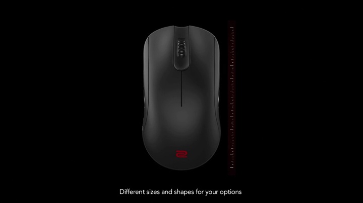 Amazon.com: BenQ Zowie EC2-B Ergonomic Gaming Mouse for Esports