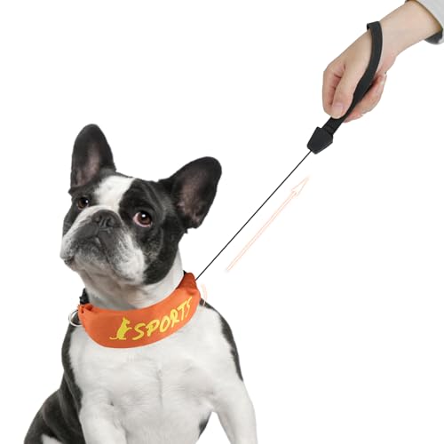 NAMSAN 2-in-1-Hundehalsband mit Rollleine Leine Verstellbares Hundehalsband Eingebaut Ausziehbar Hundeleine mit Griff für Kleine und Mittlere Hunderassen