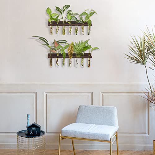 Dahey 3 Pack Metal Iron Hanging Flower Pots For Railing And Plant Propagation Wall Mounted 2 Pack Terrarium Station With Wooden Stand Glass Test Tube Flower Vase For Home Garden Office Decor #TOP5