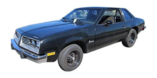 Amazon Com 1980 Pontiac Sunbird Base Reviews Images And Specs Vehicles