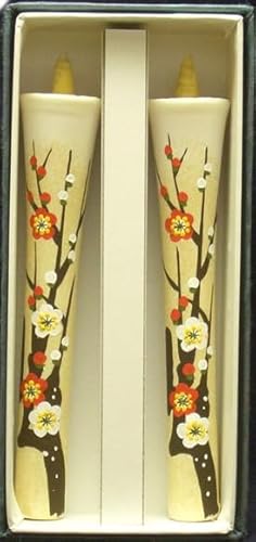 菑G낤 6 2{ 12cm i`j a낤 d aXC XC 낤 d  ~ ~ ~  ~  i ~    ~   (~)