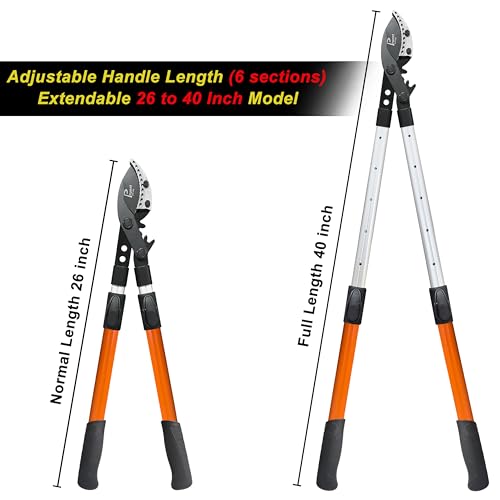 Tijeras poda para árboles con mango telescópico 26-40 pulg miniatura 2