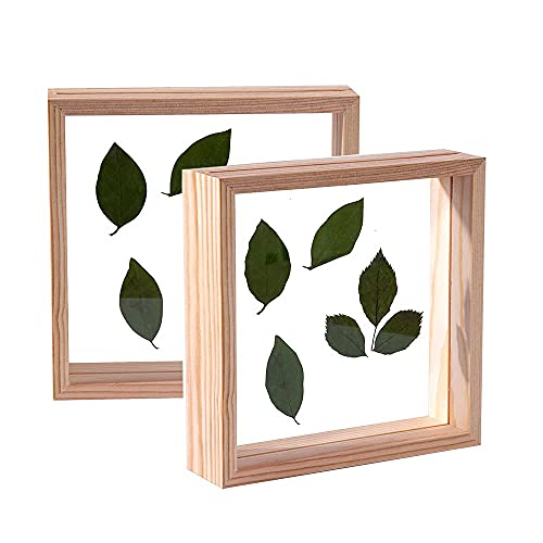 C&Z 2Pcs 5x5 marcos de fotos de madera de doble cara acrílico para plantas de herbario de, para exhibición de flores prensadas, hojas secas, mesa de escritorio, decoración de pared de madera Cover