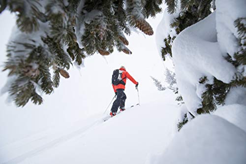Black Diamond Guide BT Beacon, Avalanche Rescue Transceiver, Bluetooth | 60m circular range, mark/scan functions, auto antenna switch, app settings and updates for backcountry avalanche rescue - image 5
