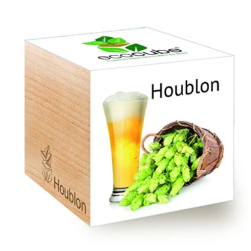Ecocube Hops, kit de cerveza artesanal para cultivar tu propia cerveza, regalo sostenible e inusual (100% ecológico), planta en un cubo de madera, fabricado en Austria