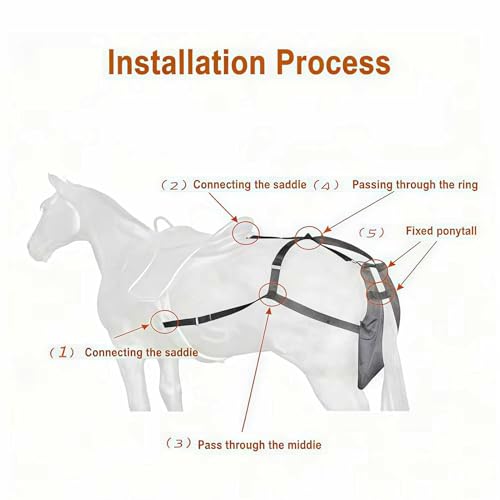 Solucion de almacenamiento de estiercol de caballo para calles limpias 6