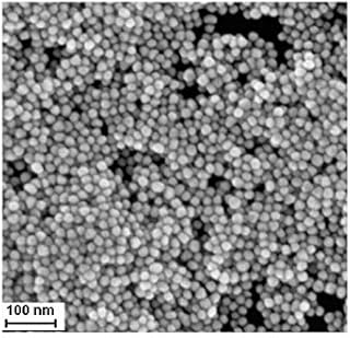 Oily Nano Gold Dispersion Au Nanoparticles Xylene Solution for Protein Tag 50ug/ml-Same Day Priority Shipping (Diameter: 180nm, 10 Milliliter)