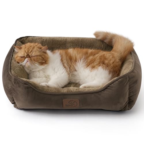 BEDSURE Katzenbett waschbar Katzen Bettchen - 51x41cm Katzenkorb Indoor mit Rutschfester Basis, quaâ€¦ – Miniatur