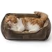 BEDSURE Katzenbett waschbar Katzen Bettchen - 51x41cm Katzenkorb Indoor mit Rutschfester Basis, quadratisches Hundebett für kleine Hunde mit weichem Rand, braun