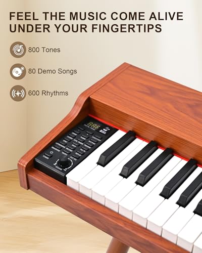 Complete KYIVOX SP88G package with all included accessories