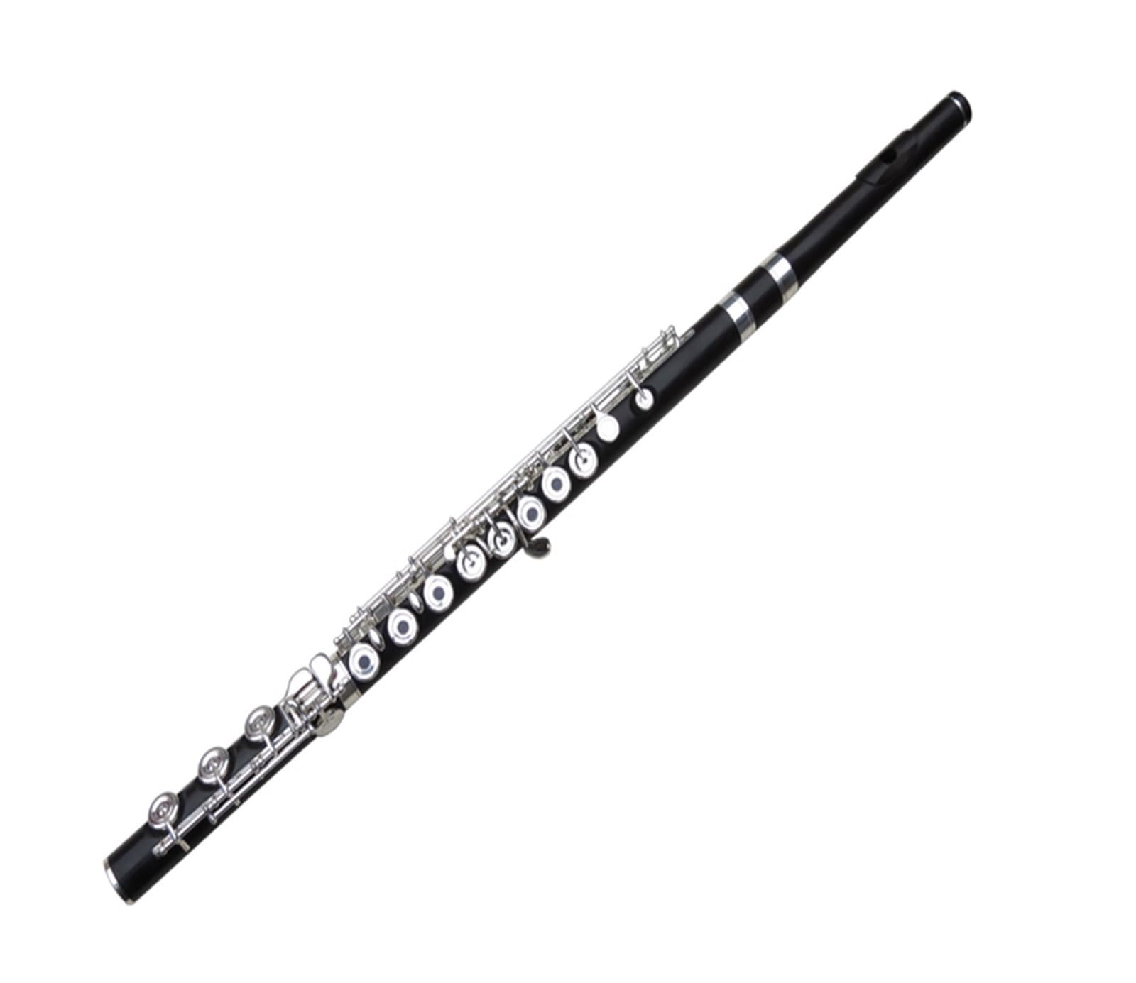 Amazon | 黒檀フルート プロフェッショナル楽器 17穴 オープン B