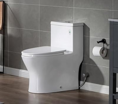 WOODBRIDGEE Modern Elongated One piece Toilet Dual flush 1.0/1.6 GPF,with Soft Closing Seat,1000 Gram MaP Flushing Score Toilet with Chrome Button,White,B0750-F-C