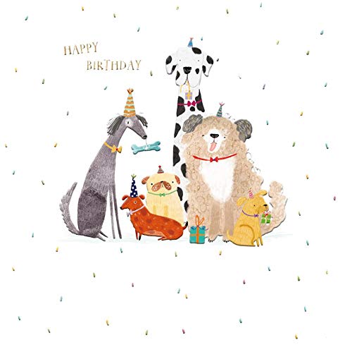 O[eBOJ[h a/o[Xf[uj錢v bZ[WJ[h Ck  zCg  AG